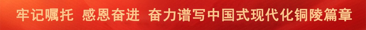 bob手机网页版入口建设