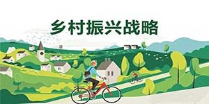 公示信息